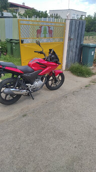 Honda cbf 125, - 4