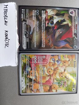 Pokémon TCG Eevee & Zoroark - 4