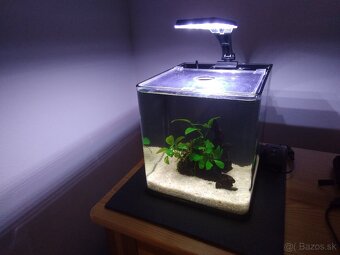 Nano akvárium - 4