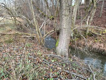 Na predaj rekreačný pozemok. - 4