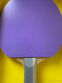 Andro Timber 7 off/s + Joola Dynaryz ACC / Tibhar hybrid MK - 4