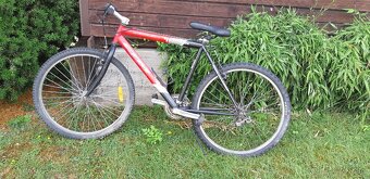 Horsky bicygel - 4