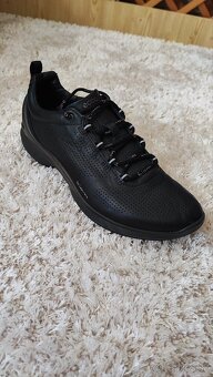Ecco biom č.39 - 4