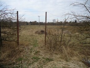 Rodinný dom s veľkým pozemkom 4329 m2, Levice-Kalinčiakovo - 4
