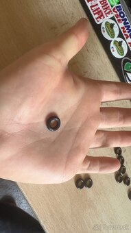 Slavia 631/630/634 tesnenie hlavne - 4