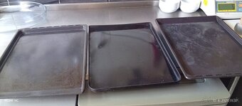 Zapekacia misa a plechy na pecenie.mix veci - 4