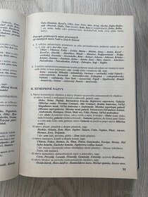 Slovenský pravopis - 4