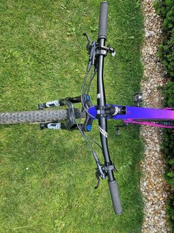 Canyon Exceed CF 6 - 4