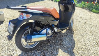 Malaguti Password Ck 250 - 4