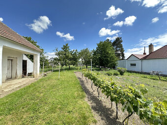 Rodinný dom s veľkým pozemkom a potenciálom – Siladice - 4