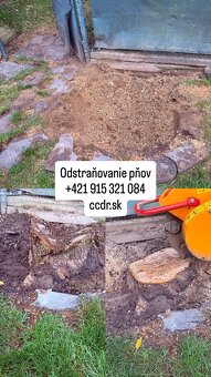 Profesionálne frézovanie a likvidácia pňov – rýchlo, bezpečn - 4