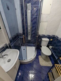 1,5 Izbový byt pri Spoločenskom Pavilóne - 4