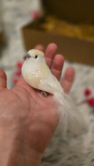 Vianočný set na darovanie - 4