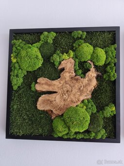 Machový obraz OLIVA - 4