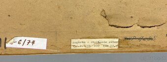 Jaroslav Augusta, Strihanie oviec, tlač na sololit - 4