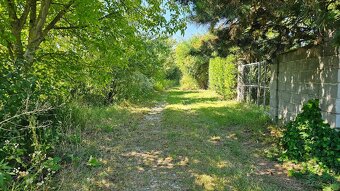 Slnečný pozemok pri vode Malý Dunaj, Nová Dedinka, SC - 4
