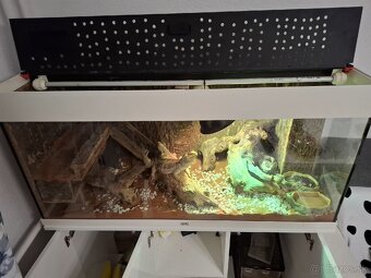 Predám terarium - 4