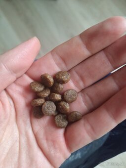 Granule ND Prime - Mini - 4