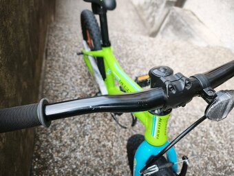 Author Record 16 - 4