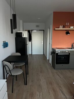 DRUŽSTEVNÉ BÝVANIE - 4