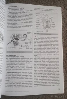 Príprava na maturitu a prijímacie skúšky na vysokú školu Bio - 4