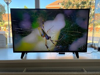 Strong SRT 40FX4003 102cm 100Hz - 4