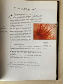 Zazracna cesta do zivota - 4