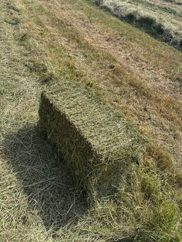 Seno a slama čítaj celý inzerát - 4