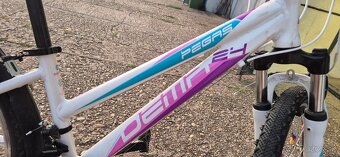 Dema Pegas 24 - 4