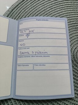 Nemecký ovčiak - 4