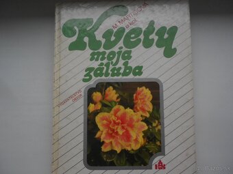Pestujeme zeleninu v byte; Domyselný rytier Don Quijote ... - 4