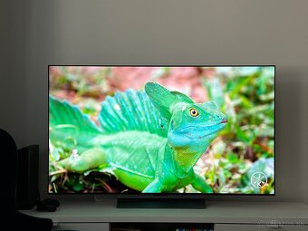 LG OLED C2 “55” v záruke - 4