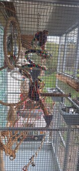 Predám klietky pre papagaja - 4