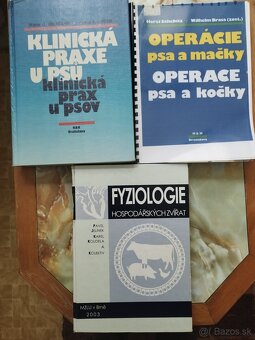 Odborná literatúra - 4