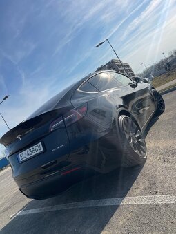 Predam Tesla model Y performance - 4
