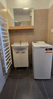 1izbový byt na prenájom s parkovacím miestom - 4