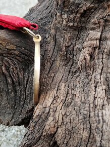 Vyzn, RU-FJI za statočnosť I.trieda Zlatý-starší typ. - 4