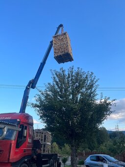 Palivove drevo buk v paletách s dopravou - 4