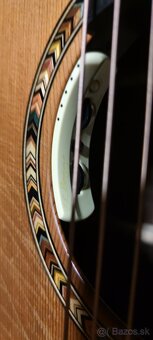 Dowina Cabernet + L.R. Baggs Anthem - 4