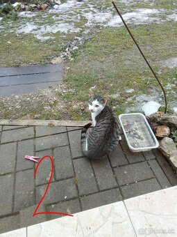 Ajándékozuk - Darujeme - 4