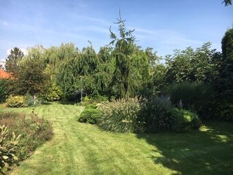 Dom s garážou na peknom rovinatom pozemku. - 4