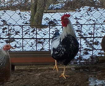 Ponuka na predaj - 4