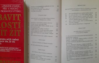 Dale Carnegie,Uspech si ty,Alchymista - 4