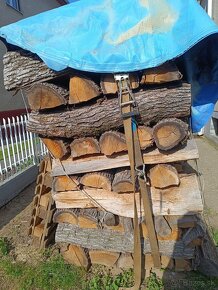 Predaj a dovoz palivového dreva - 4
