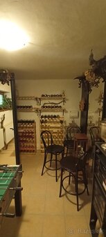 DOMÁCI MAJSTER – KRÍZOVÉ RIEŠENIA - 4