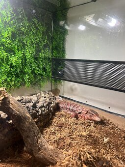 Terarium 160x60x60cm - 4