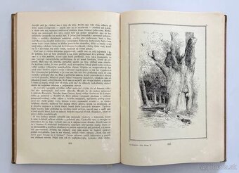 Shakespeare, Hemingway, Remarque, Tolstoj … - 4