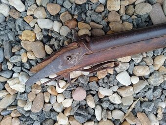 Dostavniková Brokovnica - 4