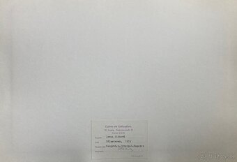 Irena Blühová – Dláždič autorská, okolo 1975 - 4