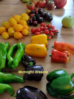 Predám semienka papriky - 4